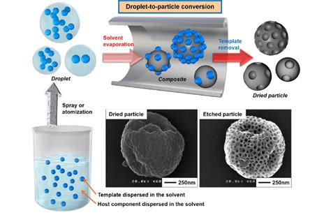  Isocrates Vivia: Experiencing the Intricate Beauty and Gentle Flow of Water Through Porous Structures!